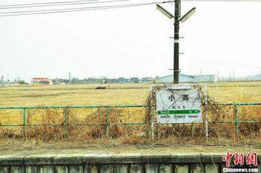 警戒区,安全防线下的神秘地带探秘”